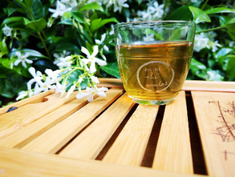 Everything You Should Know About Green Tea Production