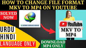 How to Download Youtube Video mkv to mp4 Format