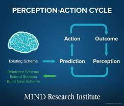 What is the Perception-Action Cycle?