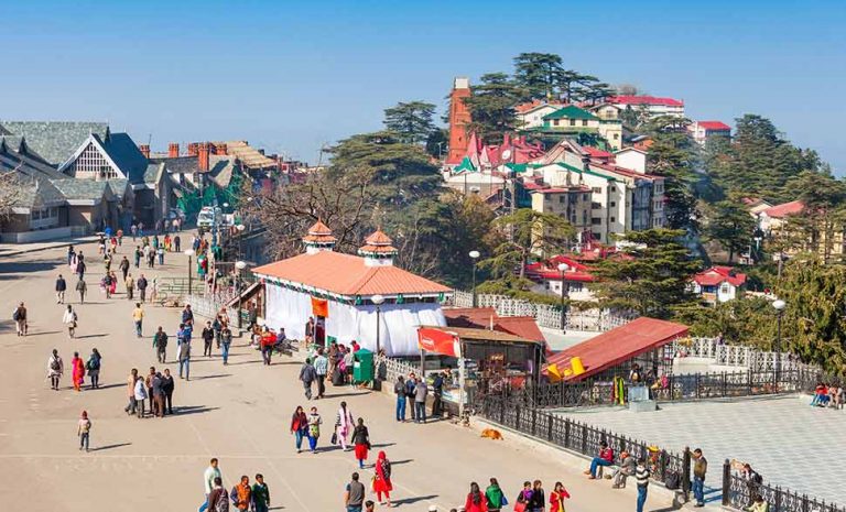 Best Visit and Travel Administrators in Shimla